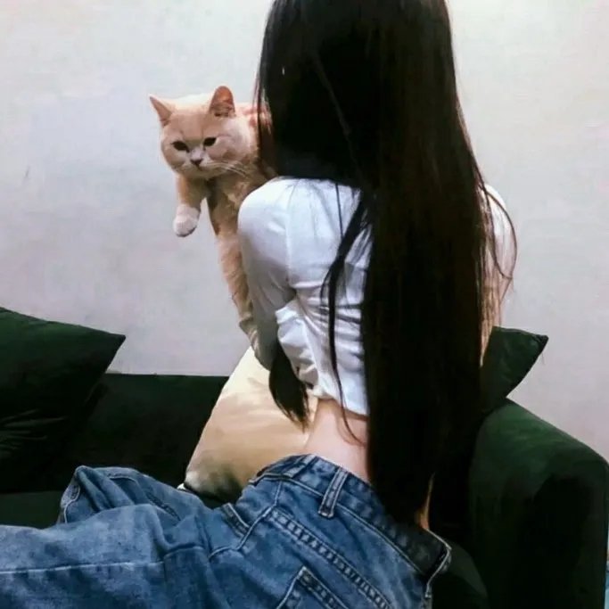 一桥桐子的犯罪日记