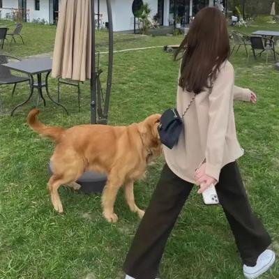 女忍者椿的心事